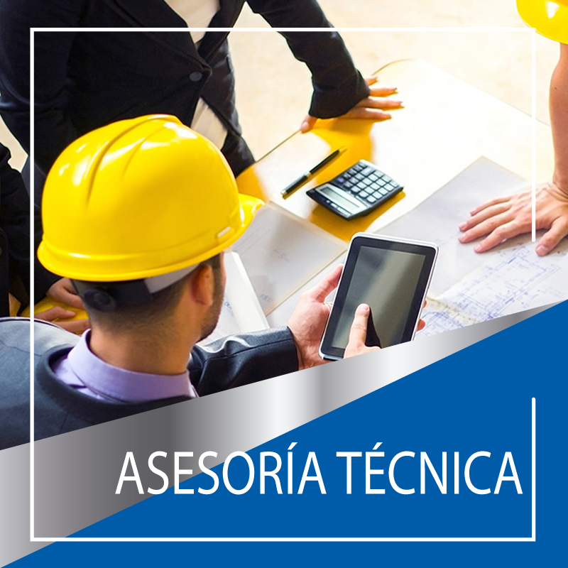Visita Técnica para Asesoría